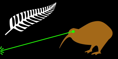 The New Zealand Flag